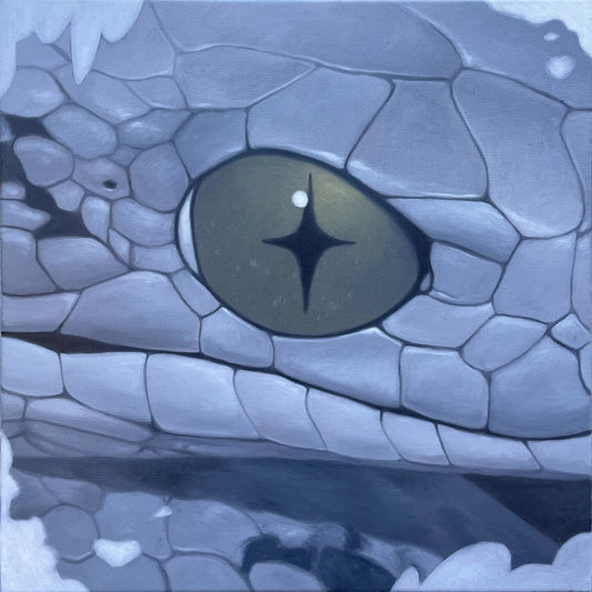 風暴之影 2.0｜Storm Shadow 2.0