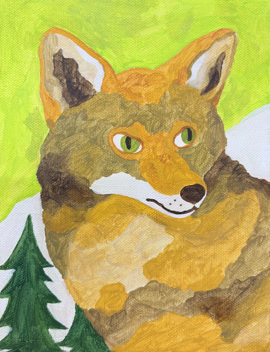 荒原之狐 | Coyote